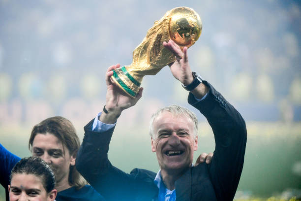 家队中占据 家队中占据